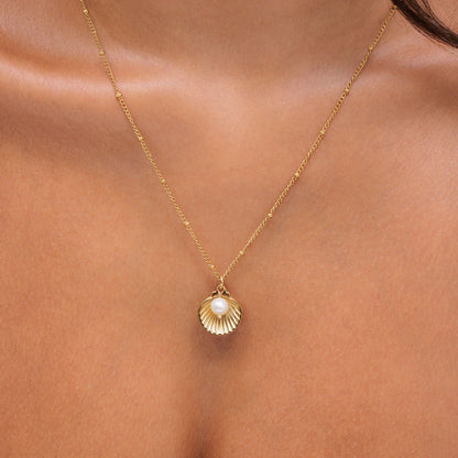 Seashell Necklace