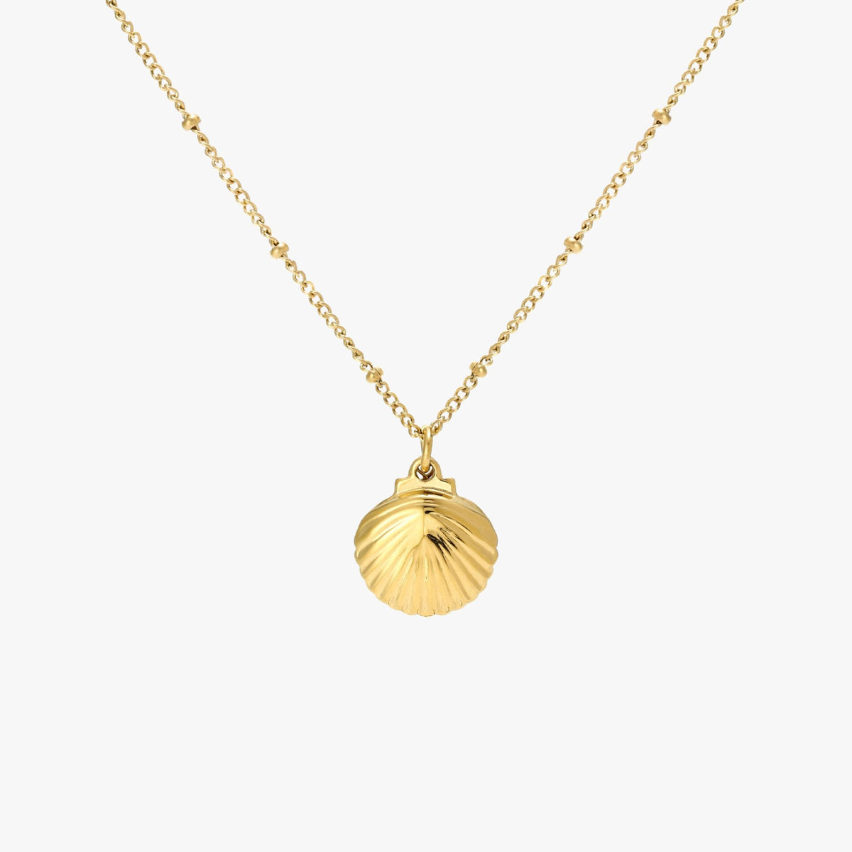 Seashell Necklace