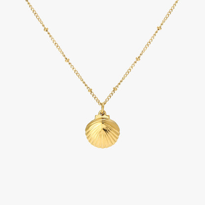 Seashell Necklace